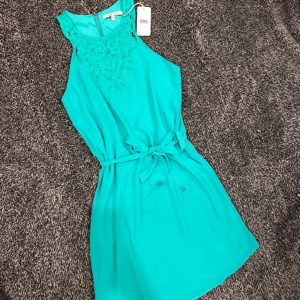 Naked Zebra Mint Dress